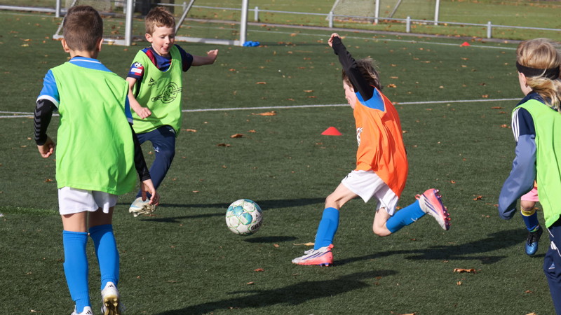 Vellykket efterårs camp